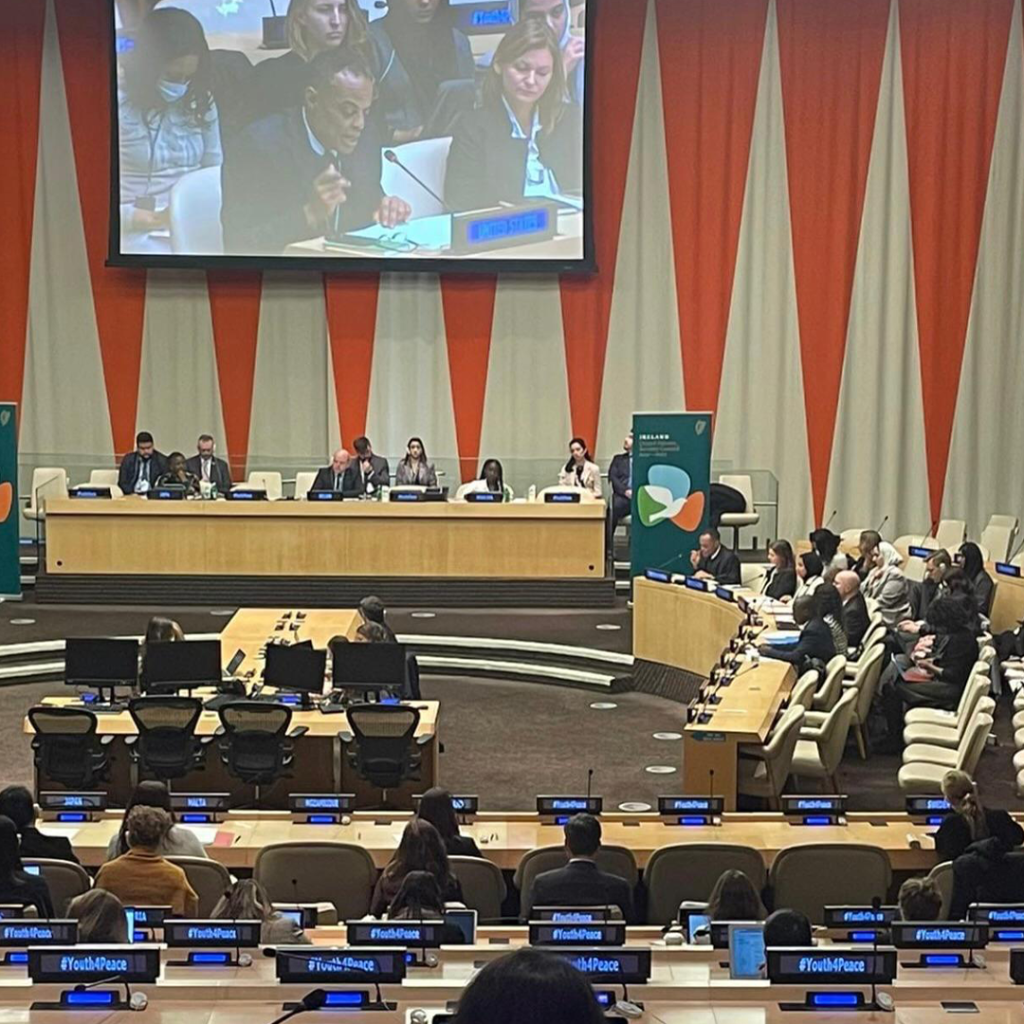 working with united nations 10